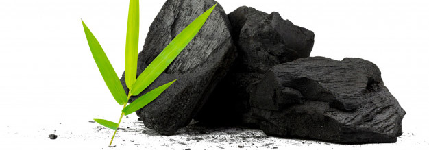 Coffee / Industrial / Coconut Shell / Sawdust Charcoal